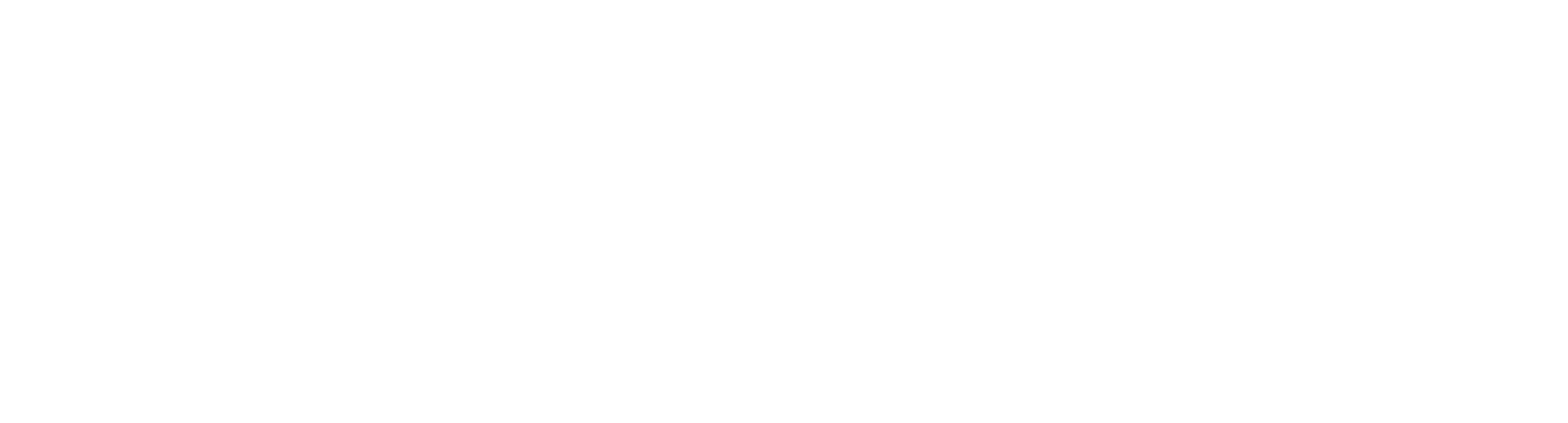logo blanc